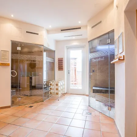 Отель Dreisonnen